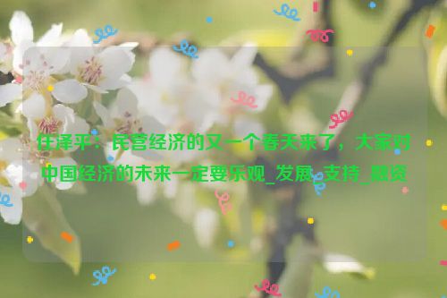 任泽平：民营经济的又一个春天来了，大家对中国经济的未来一定要乐观_发展_支持_融资